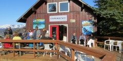 Halibut Cove