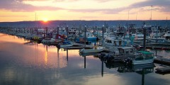 The Homer Spit