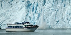 Kenai Fjords Tours