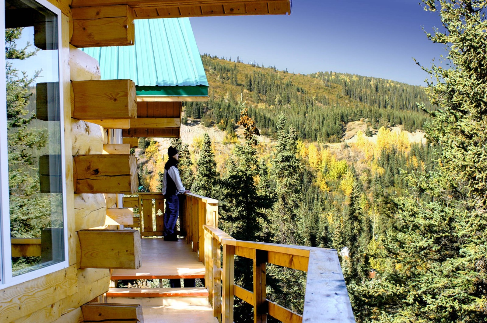 Denali Grizzly Bear Resort | Family-Owned Lodging in… | ALASKA.ORG