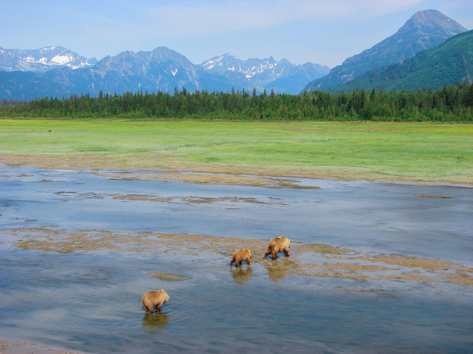 Alaska Bear Camp | Overnight Bear Viewing | ALASKA.ORG