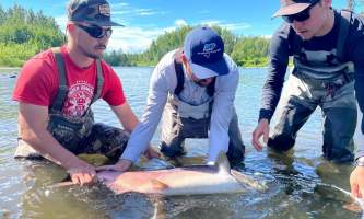 Summer solstice adventure alaska adventure company king salmon