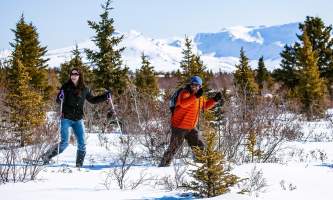 Murie snowshoeing alaska ultimate iditarod winter wonderland escorted tour 980