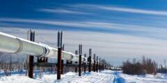 Gondwana Ecotours Northern Lights D3 Trans Alaska Pipeline Kirsten Marquez