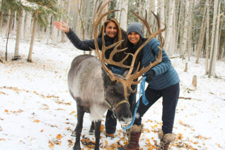 Gondwana Ecotours Northern Lights D4 Guests with reindeer Kirsten Marquez