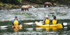 Gondwana Ecotours Whales Waterfalls D5 Bears while kayaking Admiralty Island Kirsten Marquez