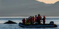 Gondwana Ecotours Whales Waterfalls D7 Whale fin with skiff Kirsten Marquez