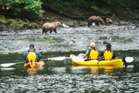 Gondwana Ecotours Whales Waterfalls D5 Bears while kayaking Admiralty Island Kirsten Marquez