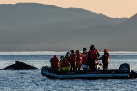 Gondwana Ecotours Whales Waterfalls D7 Whale fin with skiff Kirsten Marquez