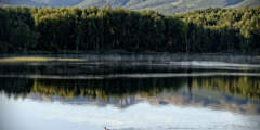 Solitude Island Retreat All-Inclusive Bundled Package