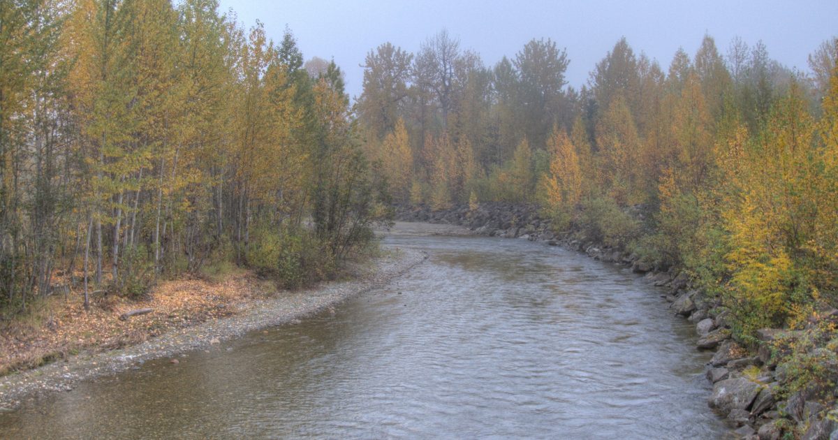 Montana Creek Combat Fishing