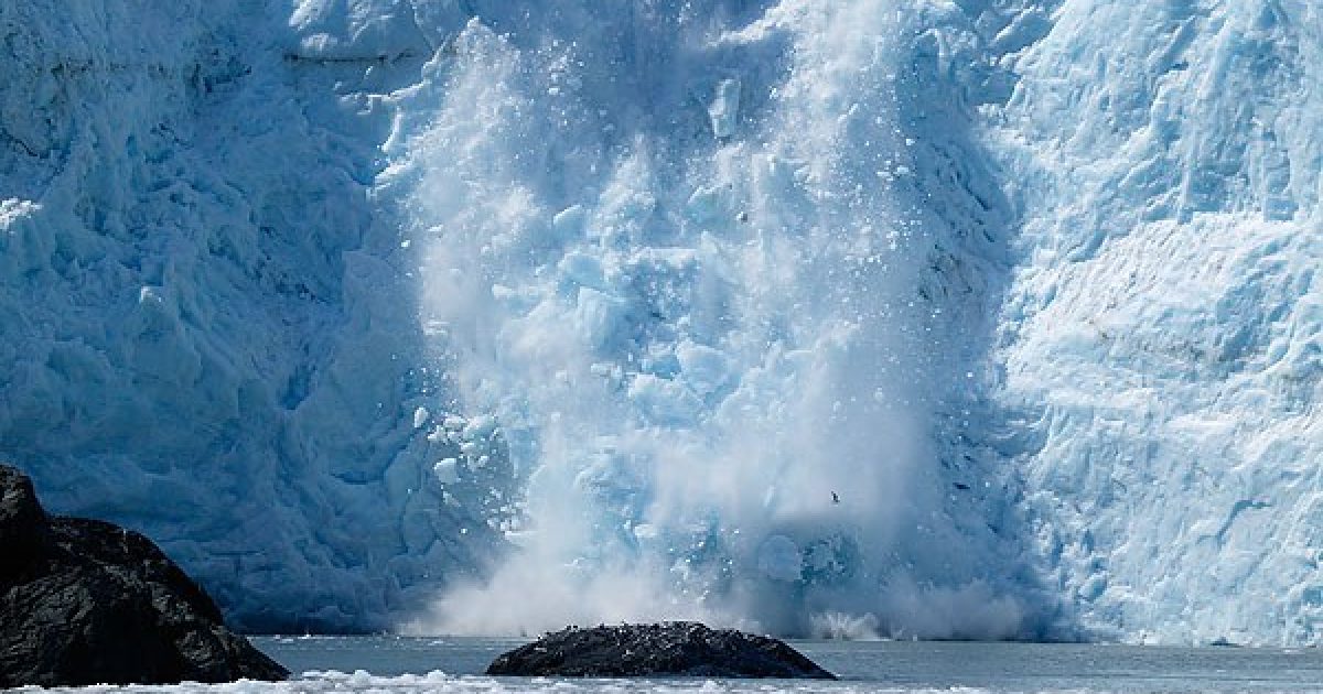 Aialik Glacier | How To See It & Things To Do | ALASKA.ORG