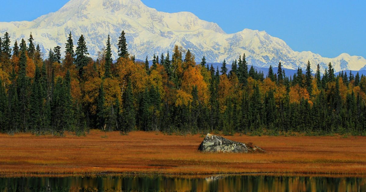 Petersville Road | Famous View of Denali | ALASKA.ORG