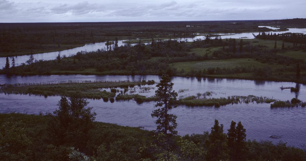 Alagnak River Alaska Org