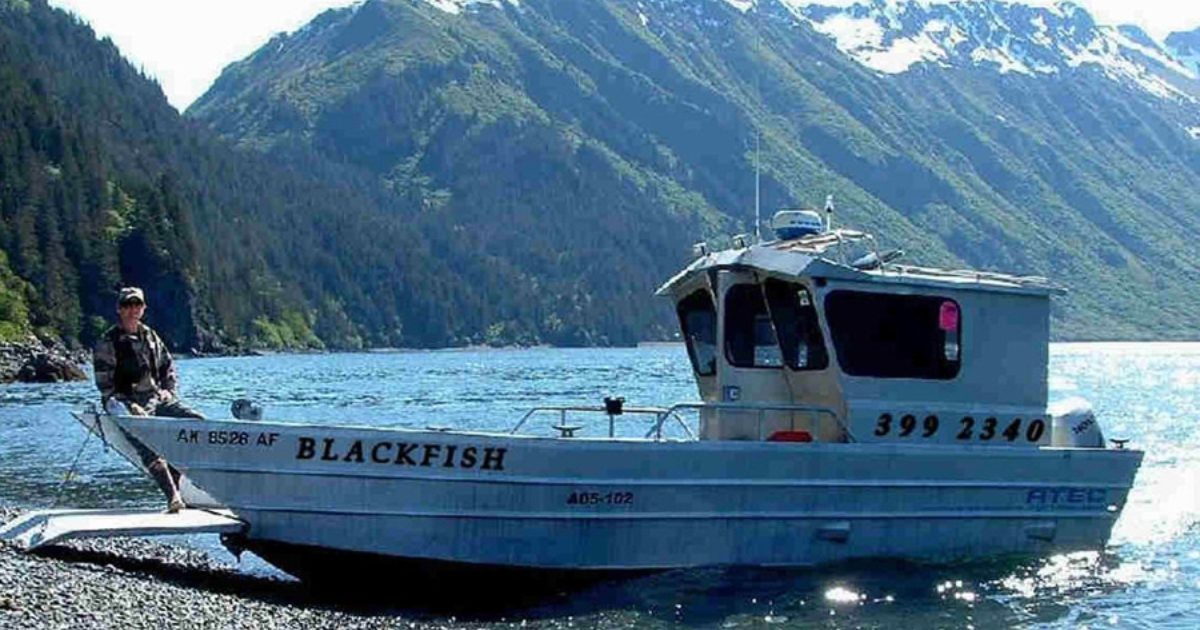 whale watching tours homer alaska