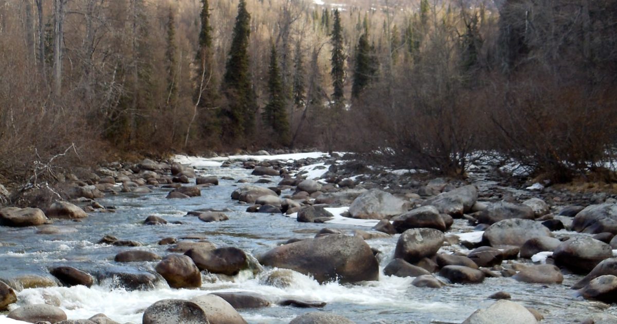 Little Susitna River Overlook | Great spot to take some… | ALASKA.ORG
