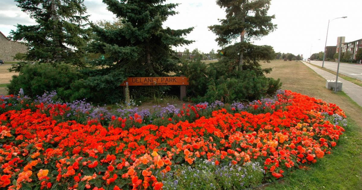 Delaney Park Strip Downtown