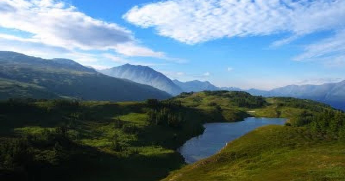 Primrose Trail | ALASKA.ORG