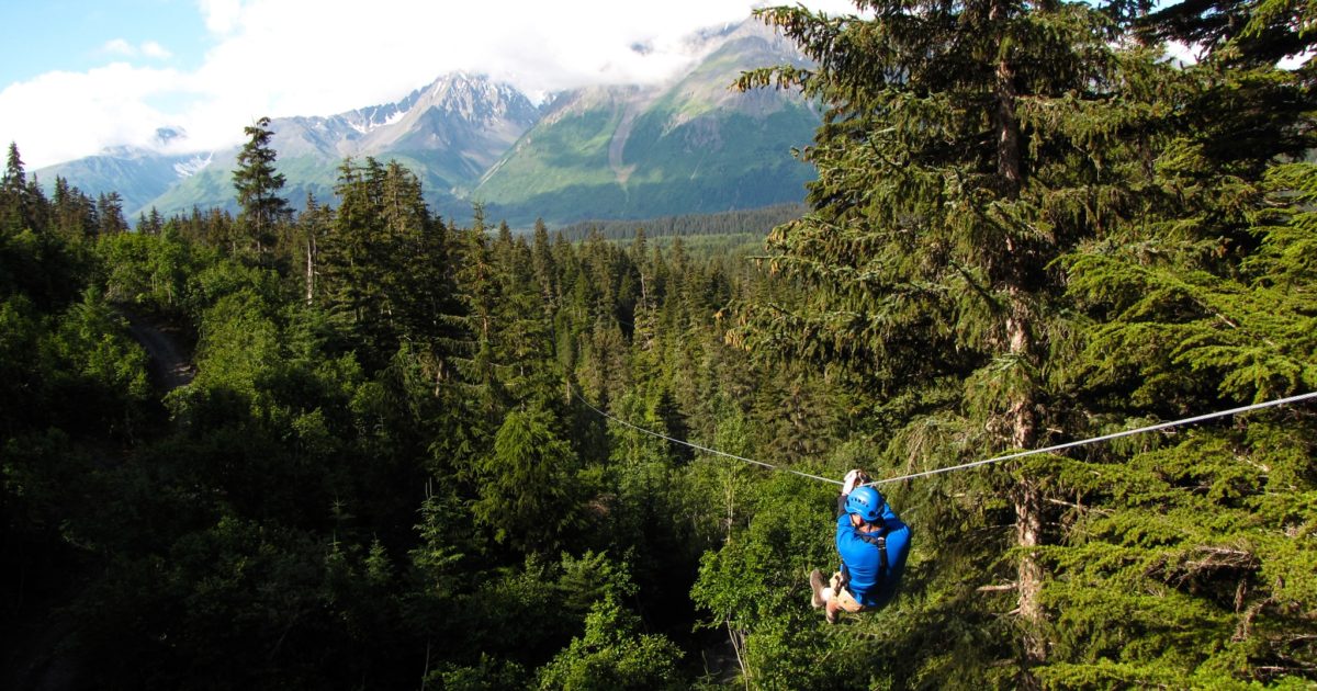 Stoney Creek Canopy Adventures, Canopy tour on the…