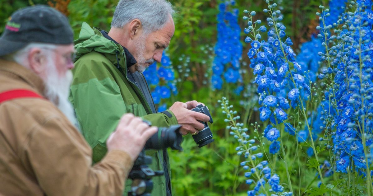 Alaska Vacations & Travel Advice from Trusted Alaskans | ALASKA.ORG