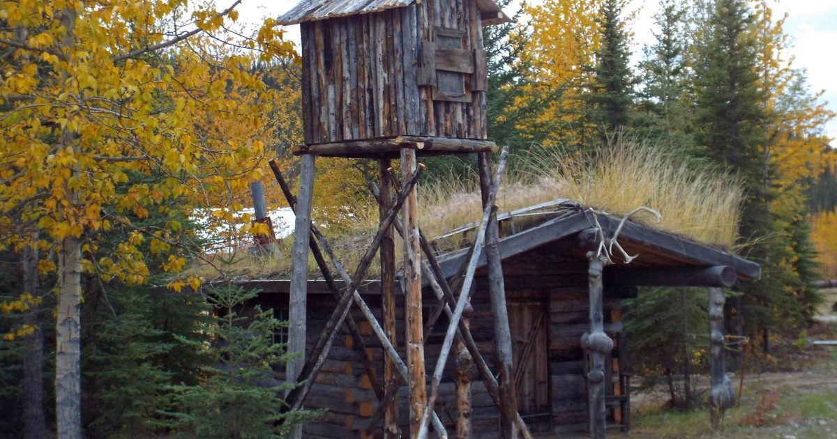 Log Riding Alaska Logging Cabin Creek Wayside | ALASKA.ORG
