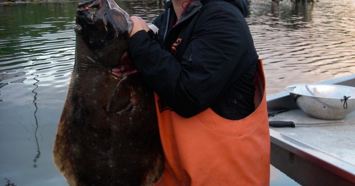 Unalaska Halibut Derby