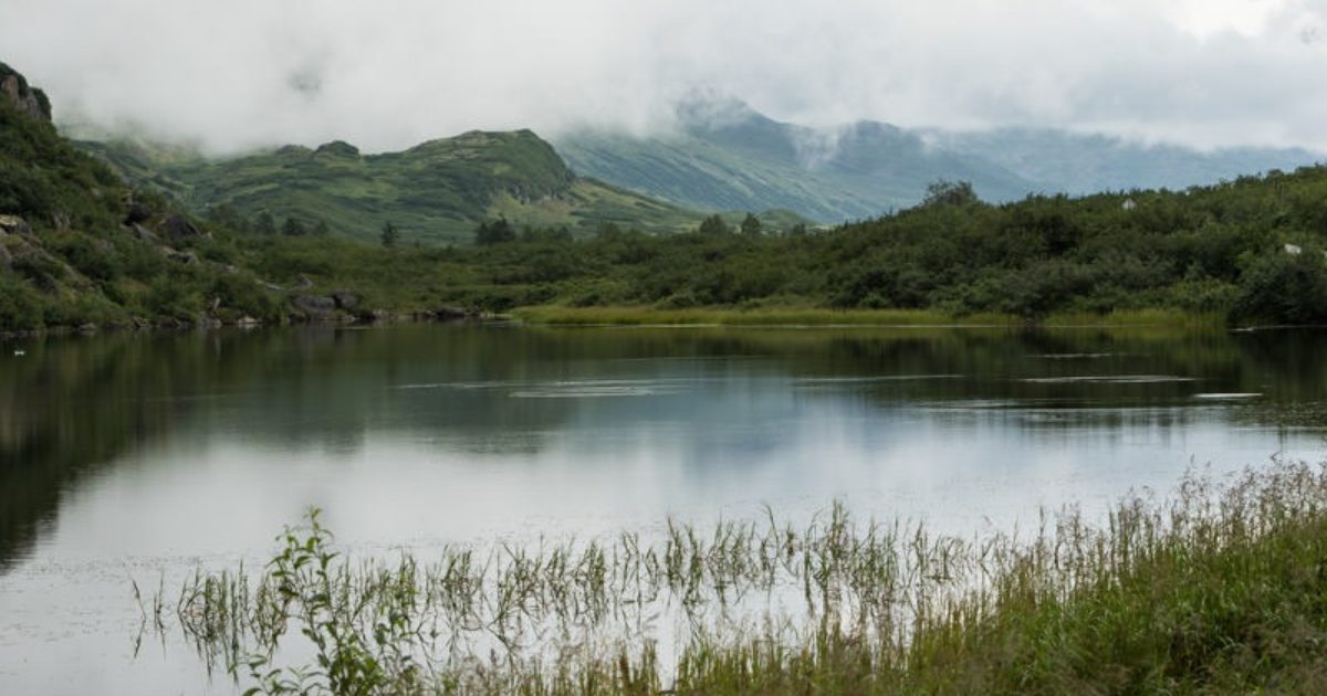 Blueberry Lake State Recreation Site Camping near…