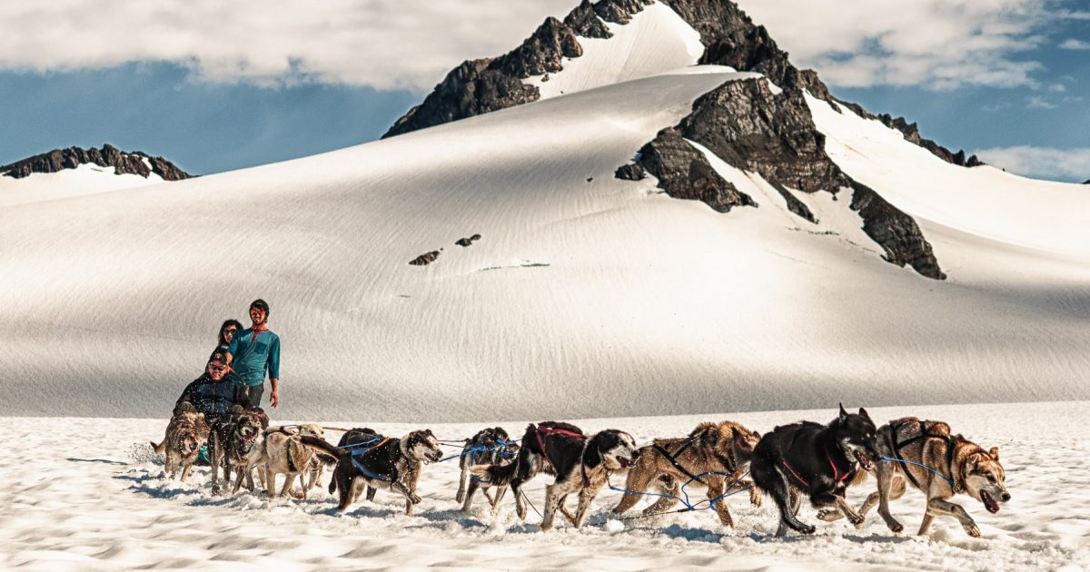 Glacier Dog Sledding | ALASKA.ORG