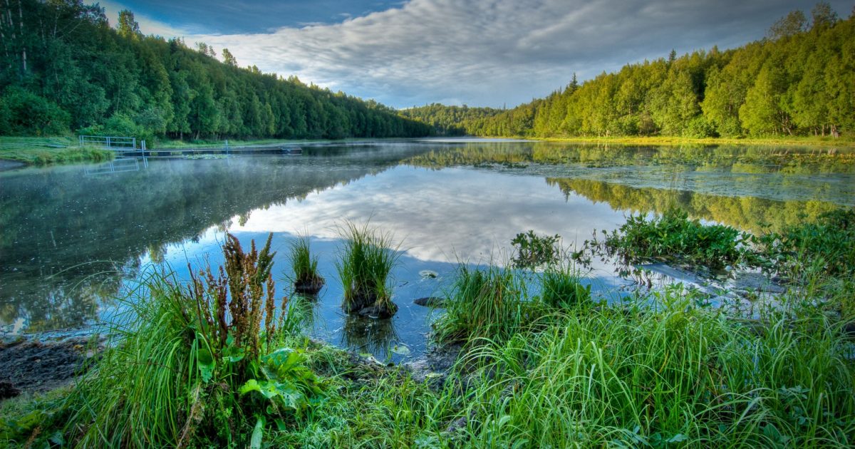 Little Campbell Lake Prettiest In Anchorage; Swim,…