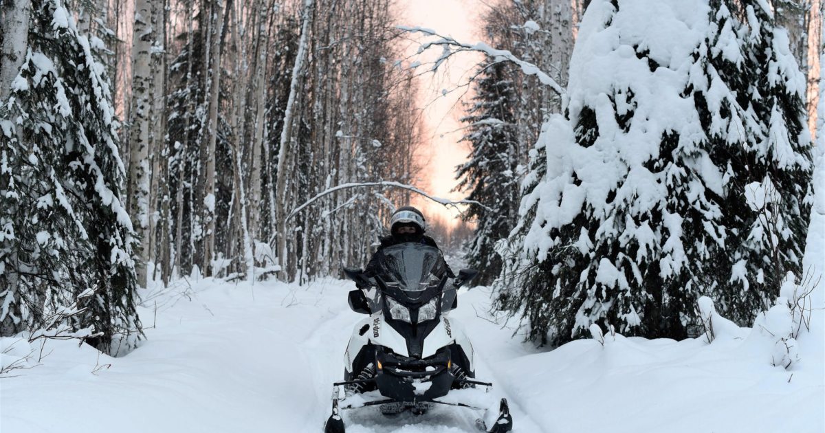 Rod’s Alaskan Guide Service Snowmobile Tours in North…