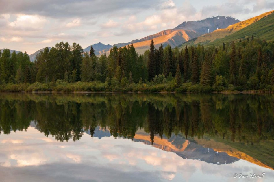 Tenderfoot on sale creek campground