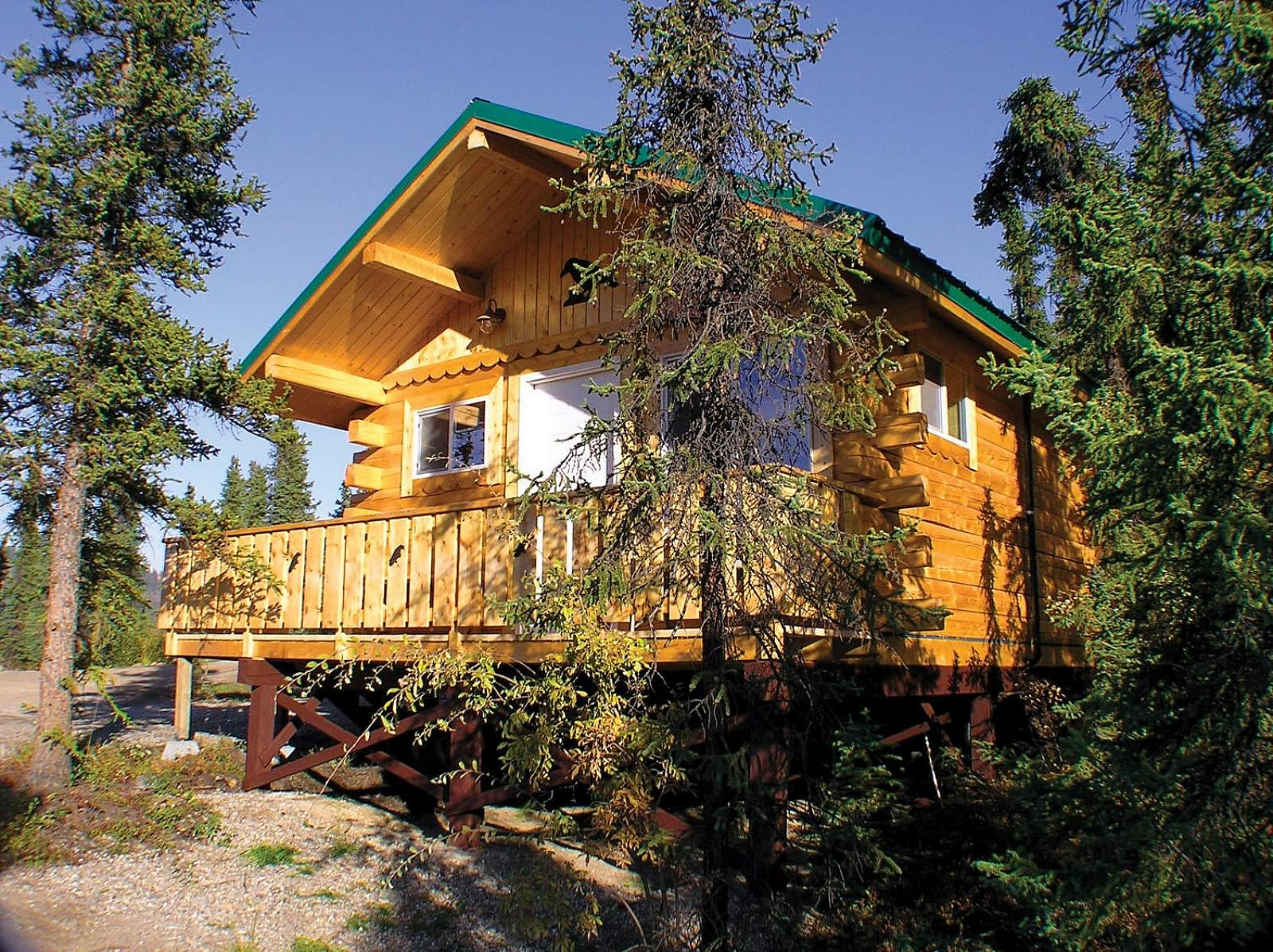 Denali Grizzly Bear Resort FamilyOwned Lodging in…