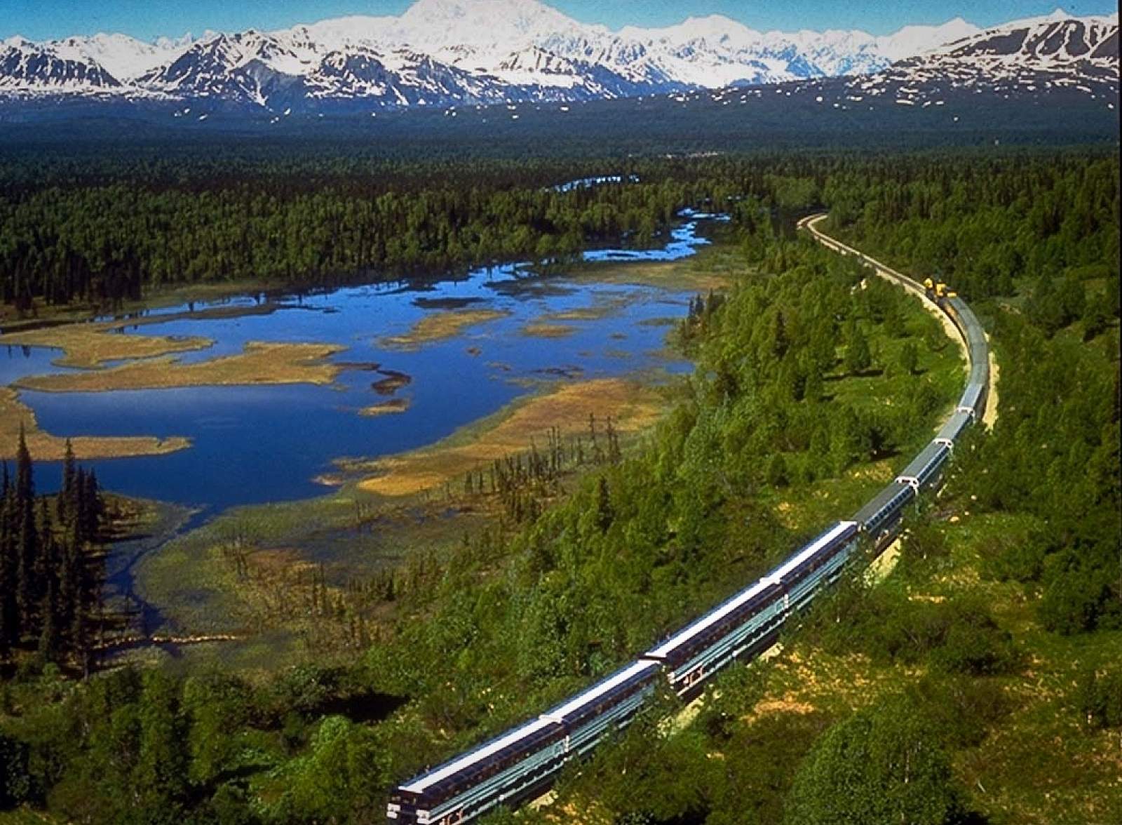 denali national park train tour