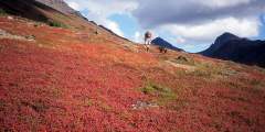 Rendezvous Peak Trail