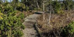 Tongass Teague LLC