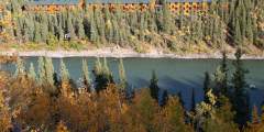 Denali Grizzly Bear Resort