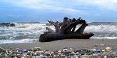 Nome Beach