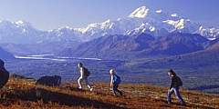 Alaska Nature Guides Heli-Hiking Adventures