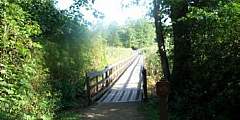 Alder Trail