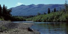 Alexander Creek