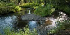 Chester Creek Trail