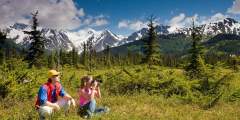 Eielson Visitor Center - Look for Dall Sheep (Mile 66)