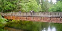 Estuary Life Trail