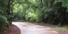 Fish Creek: Road Accessible Bear Viewing