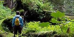 Heney Ridge Trail