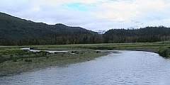 Humpy Creek Trail