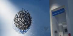9. Rose Berry Alaska Art Gallery