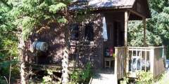 Blue Fox Bay Cabin