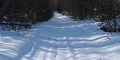 Little Loop Trail
