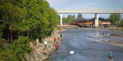 Ship Creek (Lower)